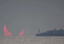 লাল শয়তানের শিং