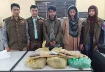 কুমিল্লা জেলা গোয়েন্দা পুলিশের অভিযানে ১ নারীসহ ২ মাদক কারবারি আটক