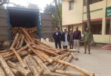 কুমিল্লায় ৫ লক্ষ টাকা মূল্যের অবৈধ সেগুন কাঠসহ কাভার্ডভ্যান আটক