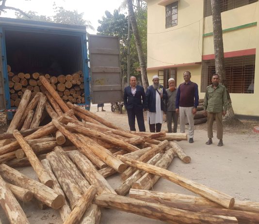 কুমিল্লায় ৫ লক্ষ টাকা মূল্যের অবৈধ সেগুন কাঠসহ কাভার্ডভ্যান আটক