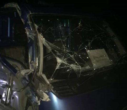 নেত্রকোনায় পিকআপ-ট্রাক সংঘর্ষ, নিহত ৬