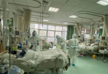 সিঙ্গাপুরে করোনা জয় করে বাসায় ফিরলেন দুই বাংলাদেশি