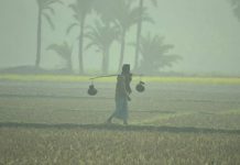 সর্বনিম্ন তাপমাত্রা শ্রীমঙ্গলে