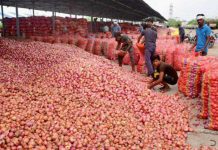 পাঁচ মাস পর পেঁয়াজ রপ্তানির নিষেধাজ্ঞা তুলে নেওয়ার সিদ্ধান্ত ভারতের