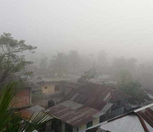 ঘন কুয়াশায় আমের ফলনে ধস নামার আশঙ্কা
