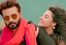 ভালোবাসা দিবসের একমাত্র ছবি ‘বীর’