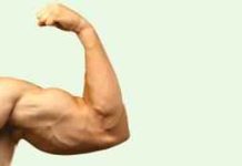 পুরুষের ঘুষিতে কেন জোর বেশি