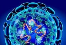 দেশে জরুরি অবস্থা জারির জন্য রাষ্ট্রপতির কাছে আবেদন।