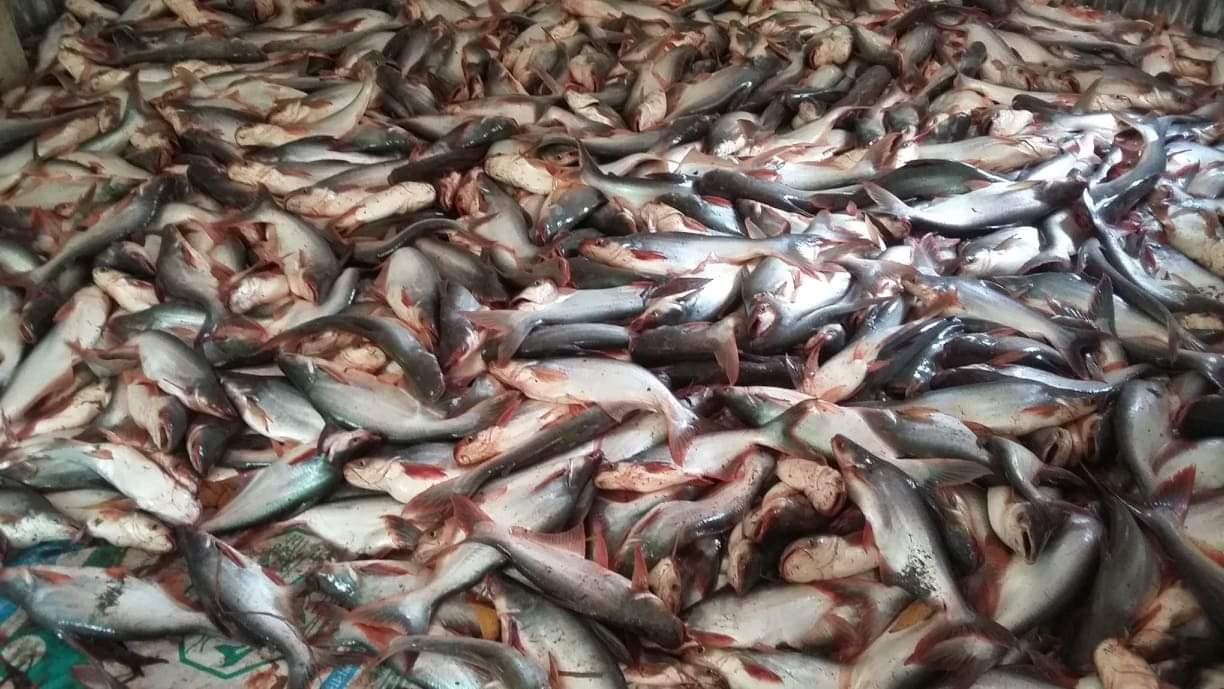 received_535842673731668