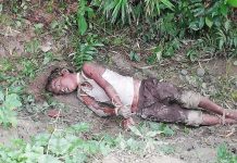 লালমাইয়ে ডাকাতিয়া নদীর পাড় থেকে শিশুর লাশ উদ্ধার।