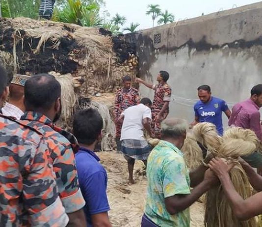 আগুনে পুড়লো ৬০০ মণ পাট