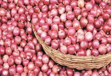 ভারতের রপ্তানি বন্ধের খবরে পেঁয়াজ বাজারে হুলুস্থুল, অনেক বাজারে বিক্রি বন্ধ