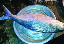 জেলিমাখা ঝকঝকে মাছ বাজারে, নষ্ট করতে পারে কিডনি-খাদ্যনালি