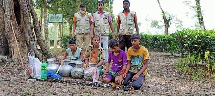 122382696_1551016715077535_40655534359208683_n