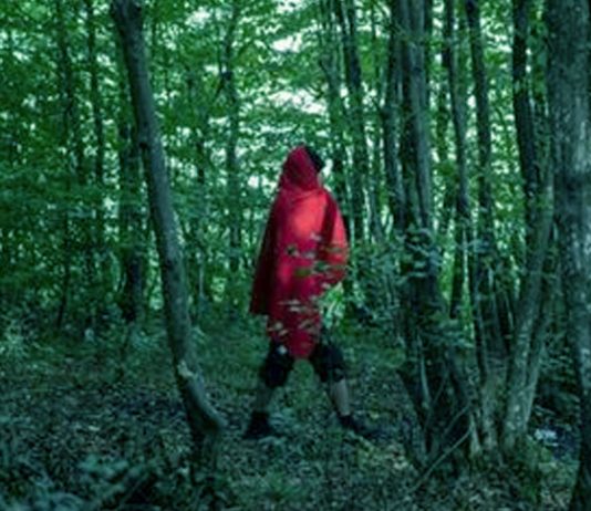 ইতালি ঢুকতে বসনিয়ার জঙ্গলে একদল বাংলাদেশি