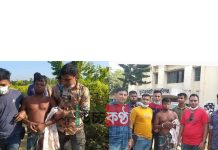 চুনারুঘাটে বহু অপকর্মের হোতা কুখ্যাত ডাকাত ২০ মামলার আসামী ফজর আলী বাটন গ্রেপ্তার