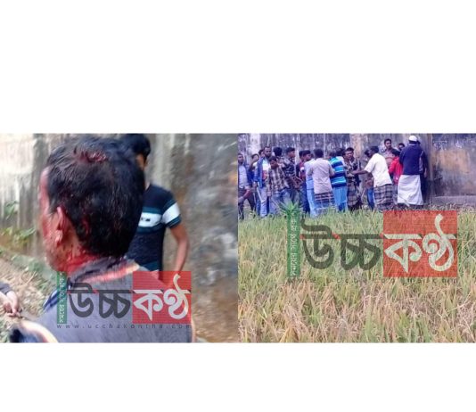 আমুরোড বাজারে দুটি ডিস লাইন নিয়ে দুই গ্রুপের সংঘর্ষে আহত ৫