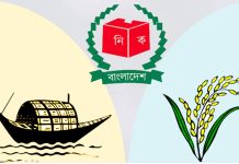 দেশের ২৪ পৌরসভায় নৌকা-ধানের শীষের লড়াই আজ