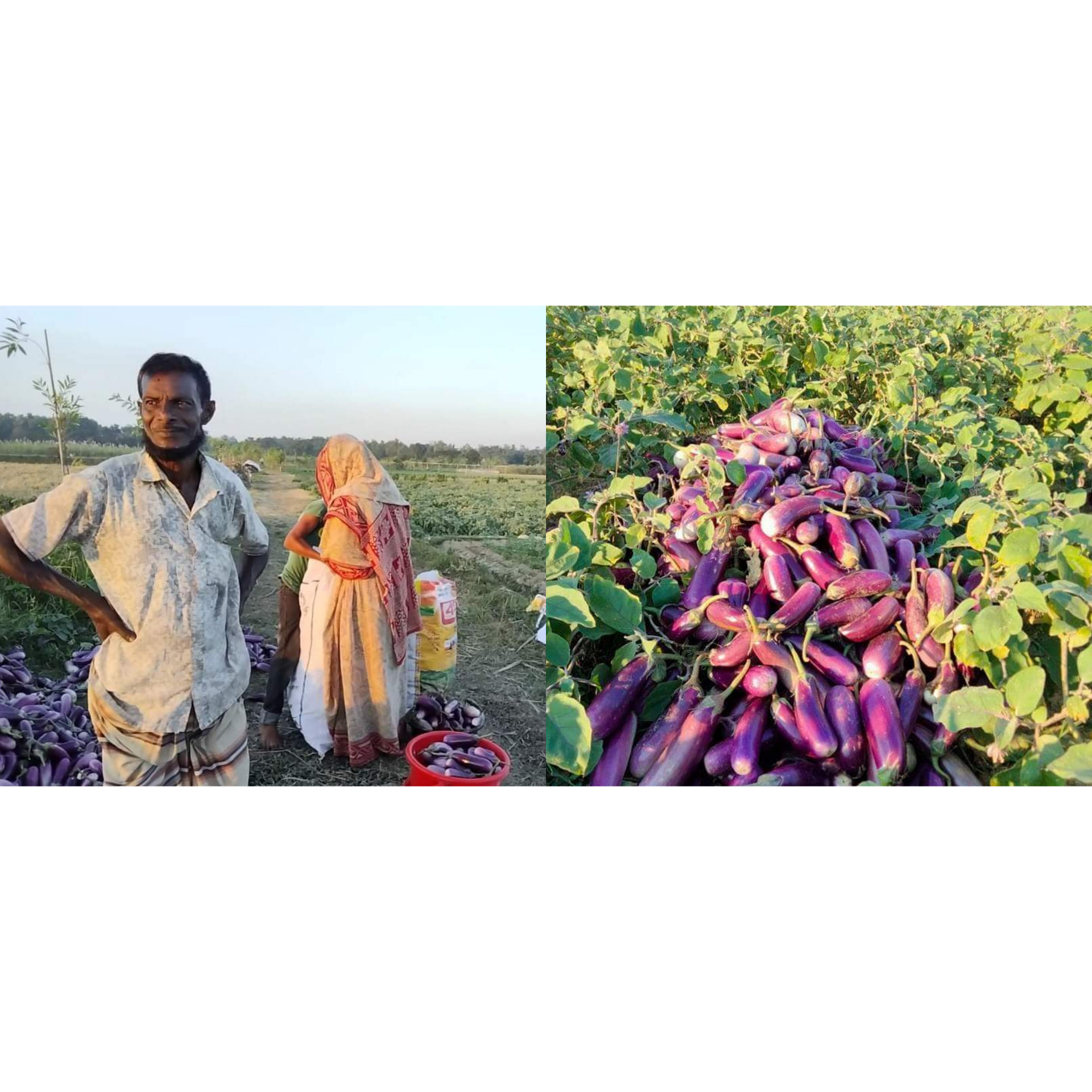 InShot_20201203_220946120