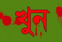 ছোট ভাইর হাতে বড় ভাই খুন!