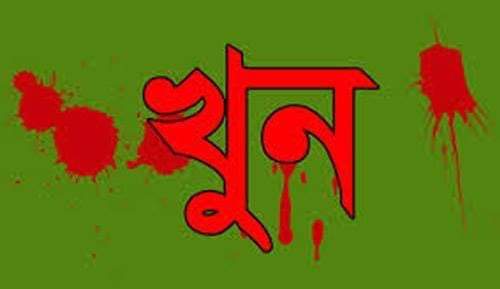 ছোট ভাইর হাতে বড় ভাই খুন!