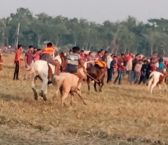 বিজয়ের মাসে ঘোড়দৗড় প্রতিযোগিতা