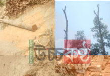 চুনারুঘাটে জোর পূর্বক প্রবাসীর জমির গাছ কর্তন, পরিবারকে হুমকি!