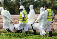 করোনায় এক দিনে ৯৬ জনের মৃত্যুর রেকর্ড, শনাক্ত ৫১৮৫