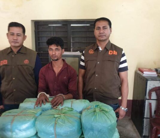 কুমিল্লায় ২০কেজি গাঁজাসহ ১জন আটক
