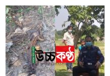 কুমিল্লার তিতাসে অজ্ঞাত ব্যক্তির কঙ্কাল উদ্ধার; ঘটনাস্থলে সিআইডি ও পিবিআই