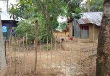 চুনারুঘাটে বেড়া দিয়ে ভাই আটকে দিয়েছে ভাইয়ের বাড়ির রাস্তা!