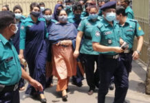 রোজিনাকে গ্রেপ্তারের মাধ্যমে সরকার সত্য প্রকাশের বিরুদ্ধে অবস্থান নিয়েছে