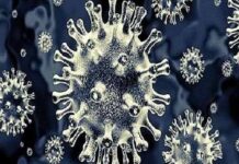 দেশে প্রথম ‘ব্ল্যাক ফাঙ্গাস’ শনাক্ত