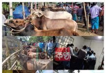 লকডাউনে প্রতিদিনই চুনারুঘাটে স্বাস্থ্যবিধি না মেনে বসছে হাট, বাজারগুলোতে মানুষের ঢল!