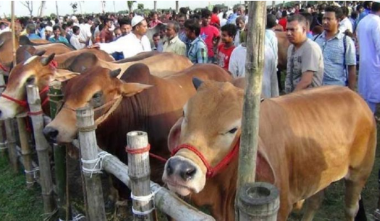 যাদের ওপর কোরবানি ওয়াজিব