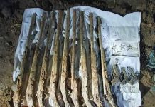 সাতছড়িতে ৯টি বন্দুক ও ৩টি পিস্তল উদ্ধার।