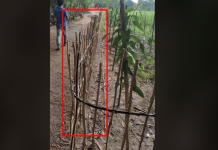 ঘনশ্যামপুর গ্রামের রাস্তায় বেড়া, ক্ষুব্ধ এলাকাবাসী!