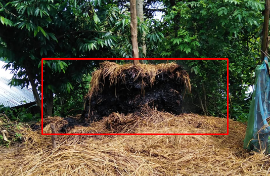 পৌরসভার ২নং ওয়ার্ড সাবেক পৌর কাউন্সিলর এর বসতঘরের পাশে আগুন দিয়েছে দুর্বৃত্তরা।