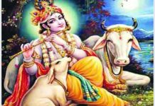 করোনা মহামারি থেকে দেশ ও জাতিকে রক্ষায় মন্দিরে মন্দিরে বিশেষ প্রার্থনা, শুভ জন্মাষ্টমী উদযাপন