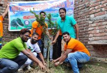 সামাজিক সংগঠন জাগ্রত সিক্সটিন এর বৃক্ষরোপণ কর্মসূচি