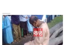 সত্যিকারের বন্ধুত্বের কোন জাতের প্রয়োজন হয় না