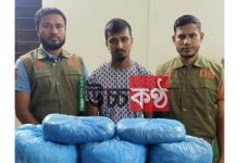 কুমিল্লা জেলার বুড়িচং এ ১৪ কেজি গাঁজাসহ ১ জন আটক।