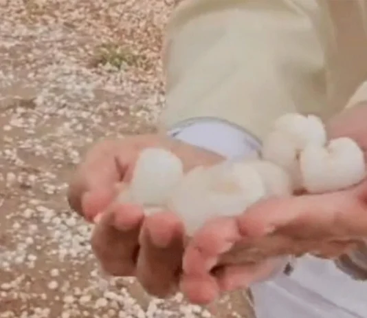 সৌদি আরবে হঠাৎ শিলাবৃষ্টি