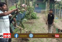 অন্যের জমি আঙ্গিনা ছাদে স্বেচ্ছাশ্রমে বাগান করে দেয় বৃক্ষপ্রেমী আল-আমীন!