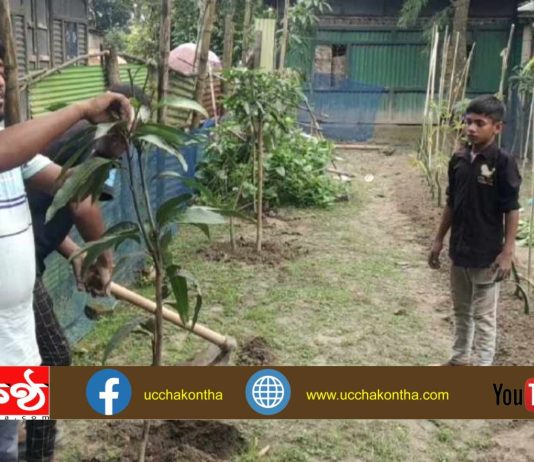 অন্যের জমি আঙ্গিনা ছাদে স্বেচ্ছাশ্রমে বাগান করে দেয় বৃক্ষপ্রেমী আল-আমীন!