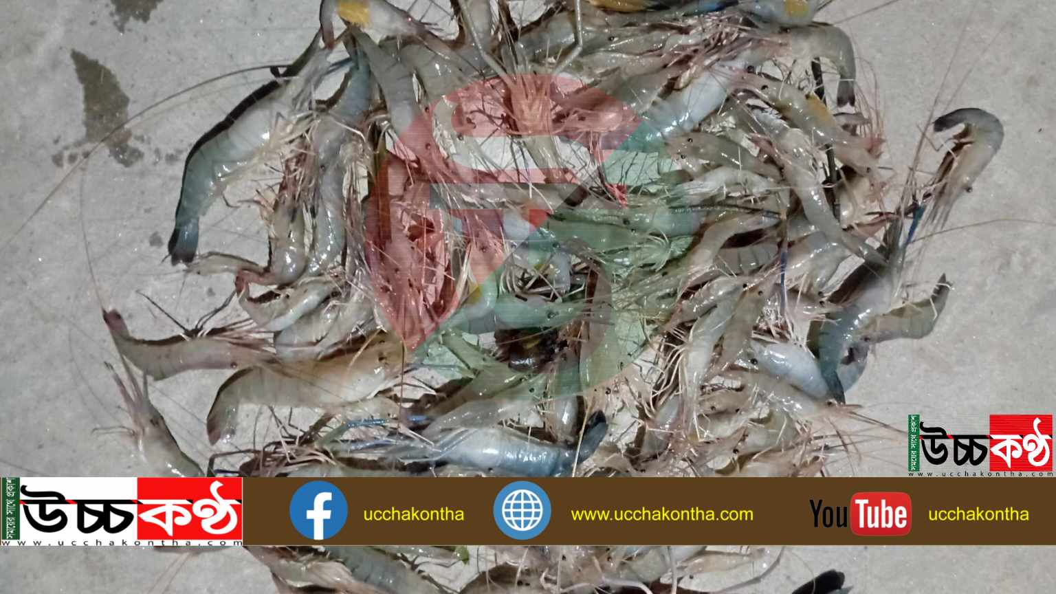 received_686083182892433