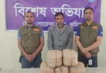 কুমিল্লায় ১৫(পনের) কজি গাঁজা সহ ০১ জন মাদক ব্যবসায়ী গ্রেফতার।