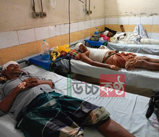 কুমিল্লায় নির্বাচনে কাজ না করায় সাবেক বিজিবি সদস্যসহ ৫ জনের ওপর হামলা