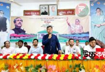 বঙ্গবন্ধুর স্বপ্নগুলো শেখ হাসিনা বাস্তবায়ন করে যাচ্ছেন এমপি আবুল কালাম আজাদ