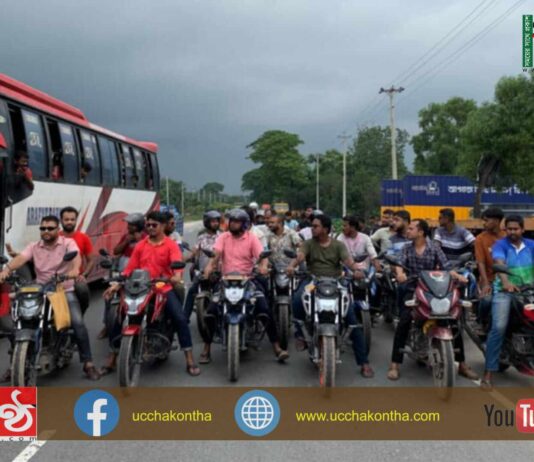 আ’লীগের ডাকা হরতালে নাশকতা প্রতিহত করতে কুমিল্লা বুড়িচংয়ে বিএনপি’র মিছিল